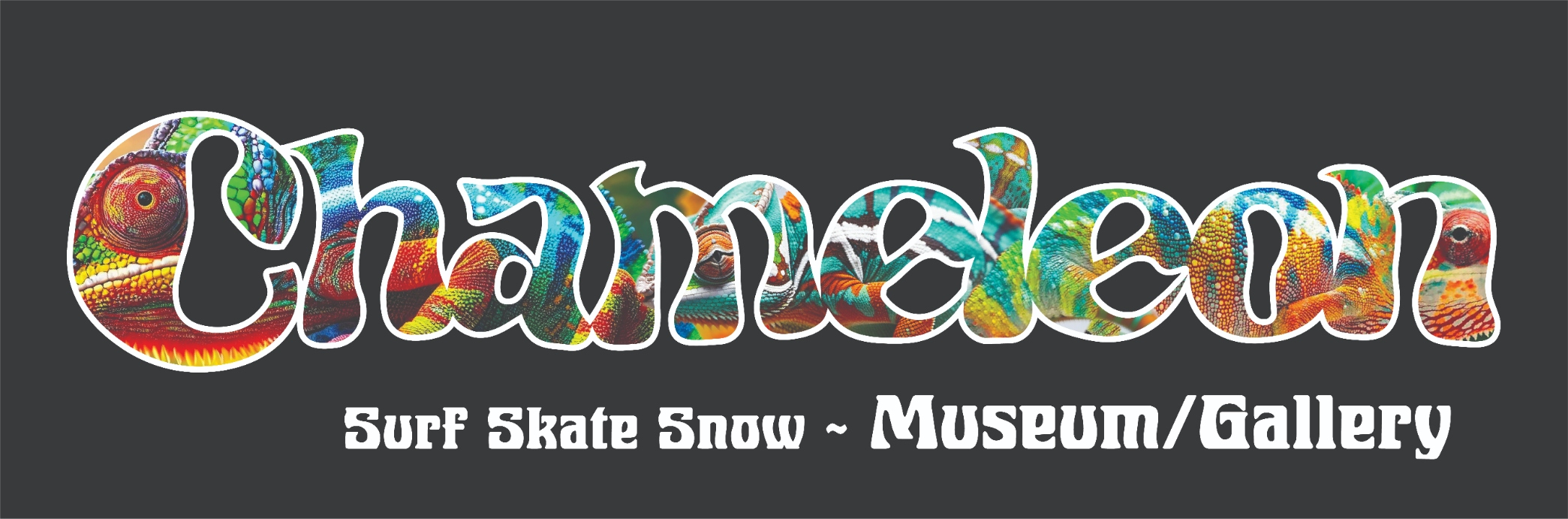 Chameleon Surf Skate Snow Museum Gallery