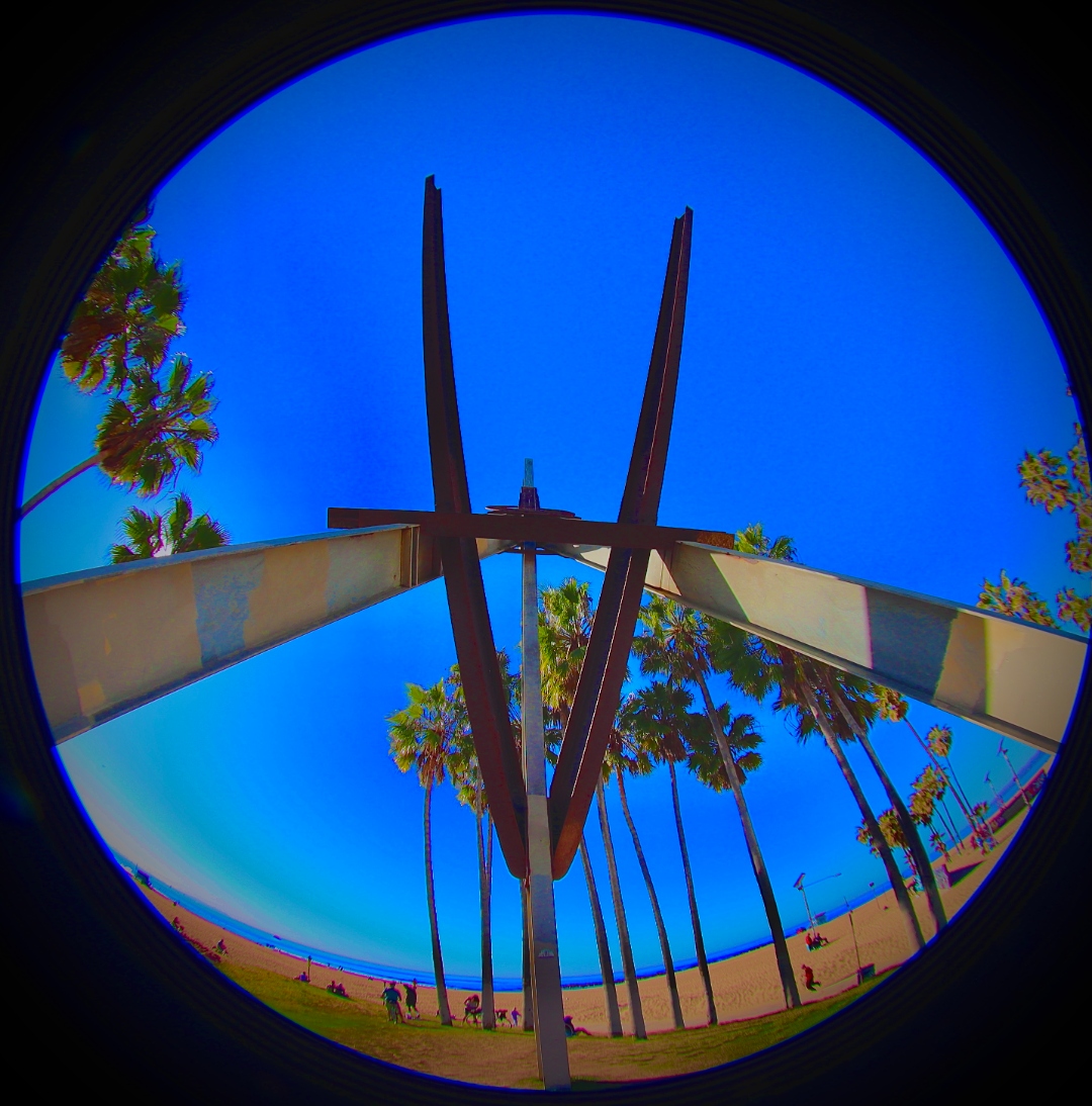 Venice Beach skatepark at sunset