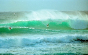 Drop In