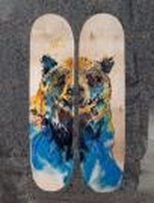 Collage and Bear